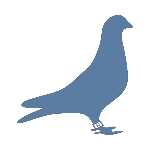 pigeons